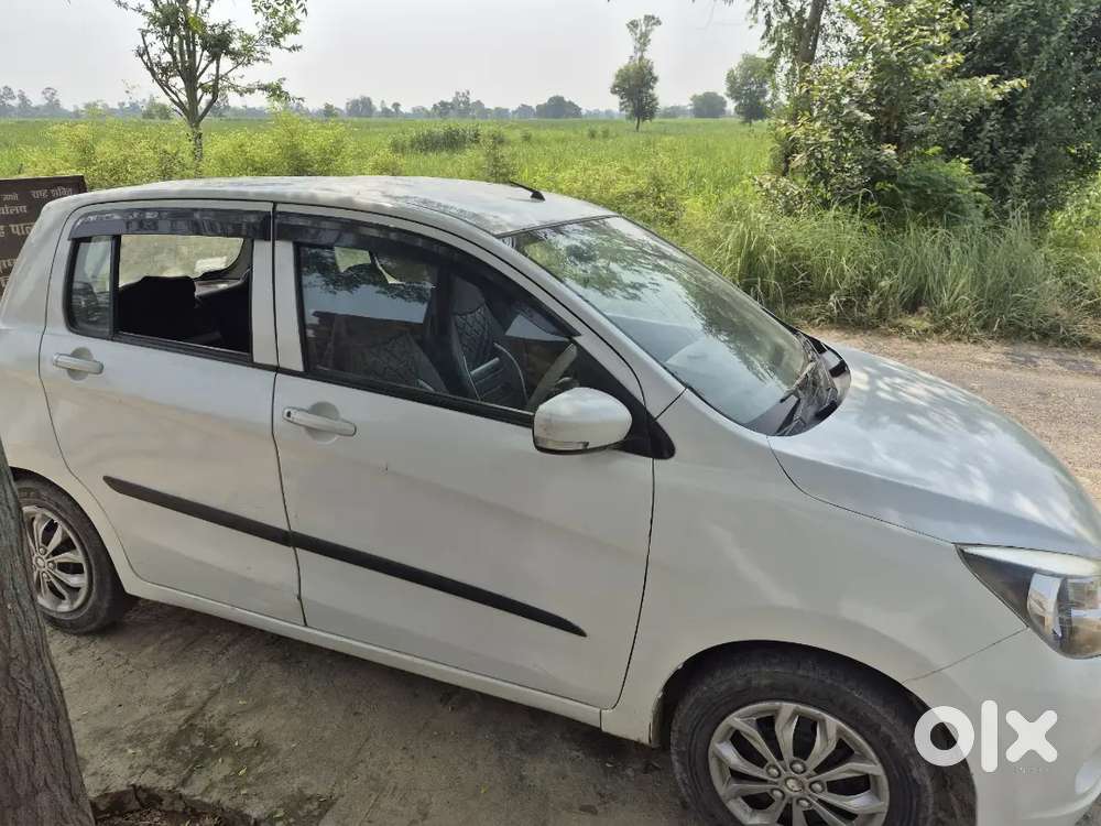 2014 Maruti Suzuki Celerio Zxi Car