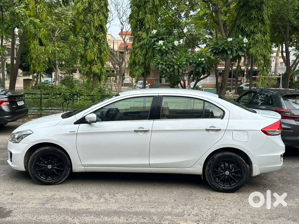 Maruti Suzuki Ciaz Diesel 2017 First Owner