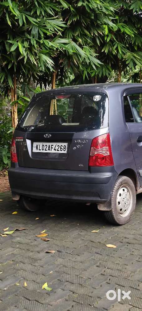 Hyundai Santro Xing 2010