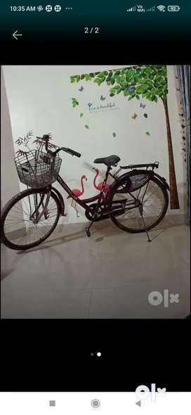Bsa Cycle Buy Sell Second Hand Other Brands Cycles in Nizampet Used Other Brands Cycles in Nizampet OLX