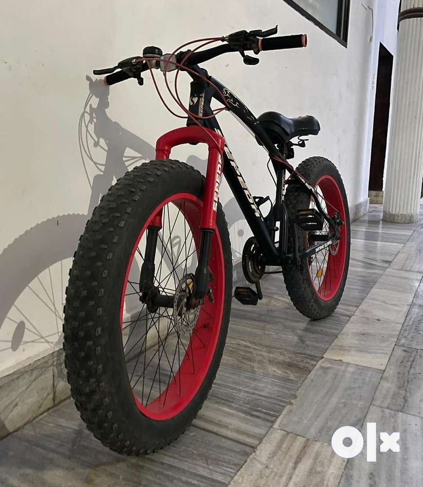 Scholl rhino fat bike hot sale price