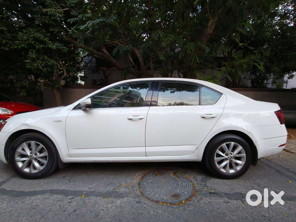 Skoda Diesel Automatic 2019 Car