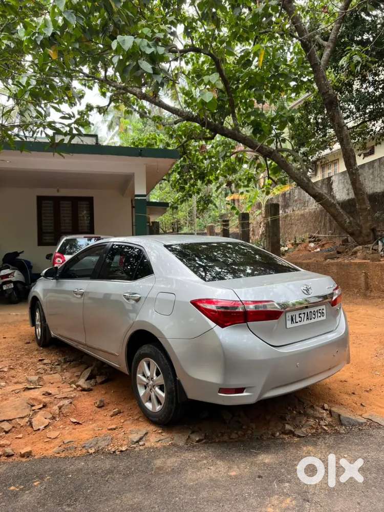 Full Company Service