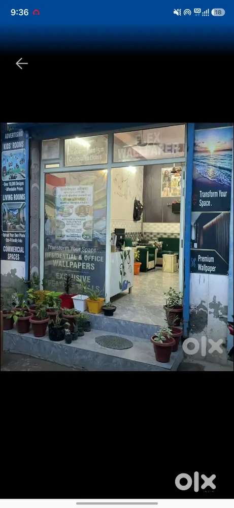 Plants for sale