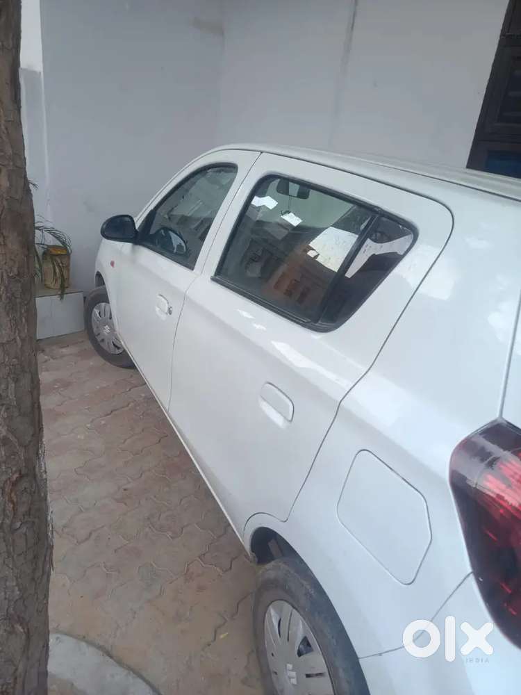 Sall Alto Lxi Bs6