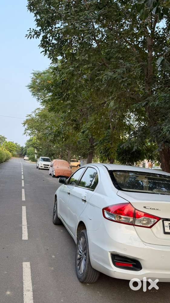 Maruti Suzuki Ciaz