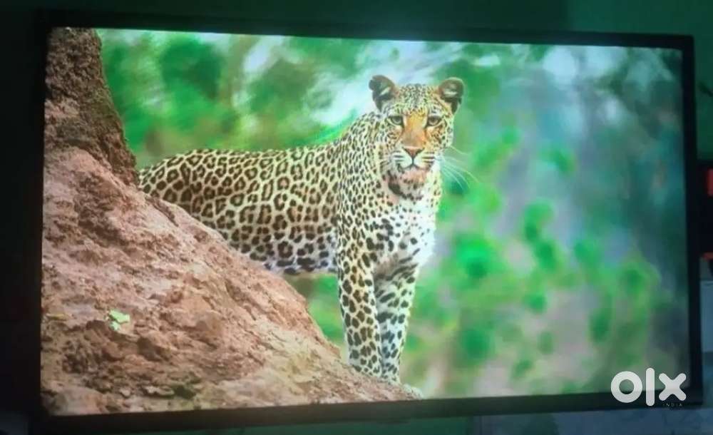 TCL IFFALCON 32 inch Smart tv