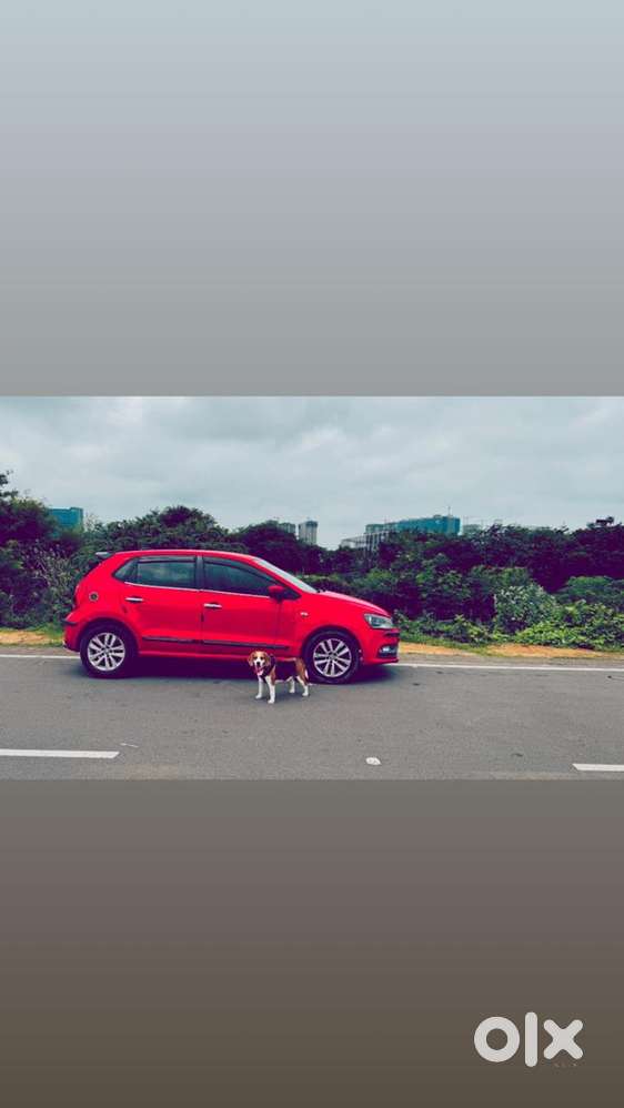 Volkswagen Polo Diesel Manual 2015