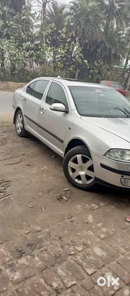 2026 Tak Valid Tyre New Brand