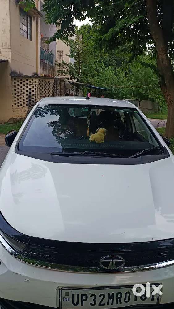 Tata Altroz 1.5 Xm 2022 Diesel Manual