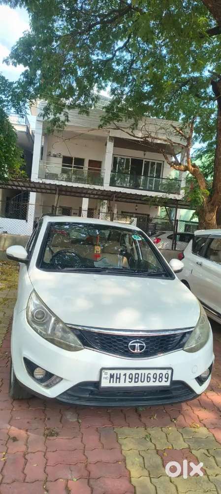 Full Condition 24 Caret