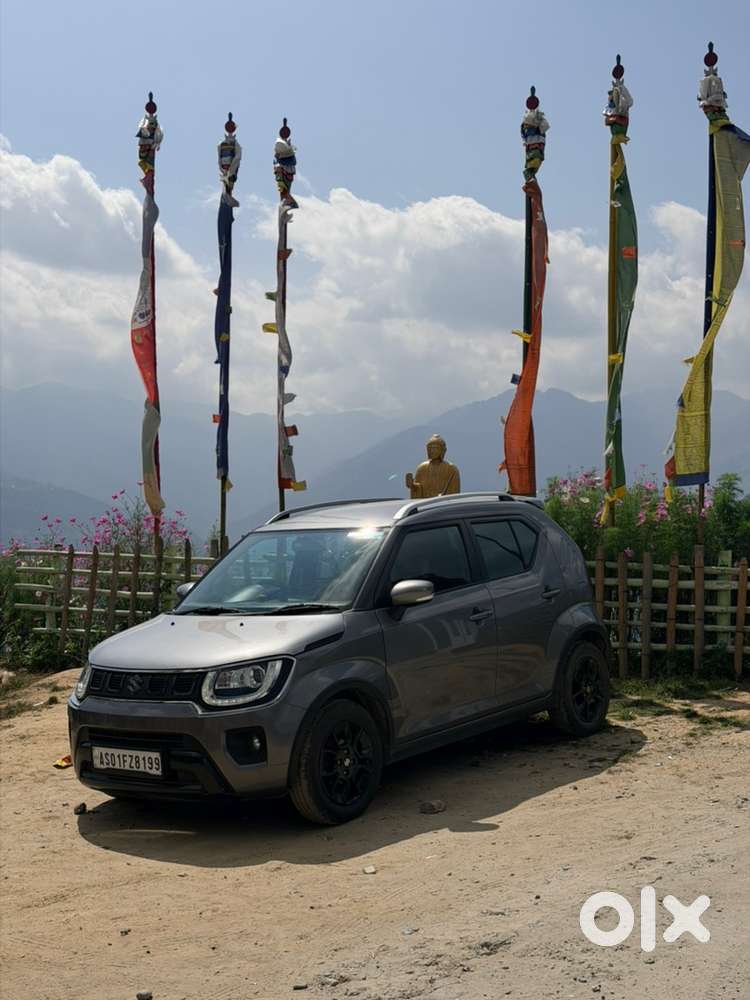 Maruti Suzuki Ignis Petrol 2024