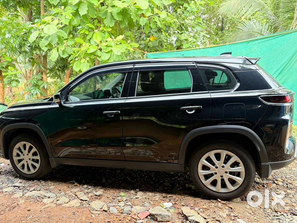 Vittil Arrum Ottikann Ellaa Paranjittu Annu Kodukkunne
