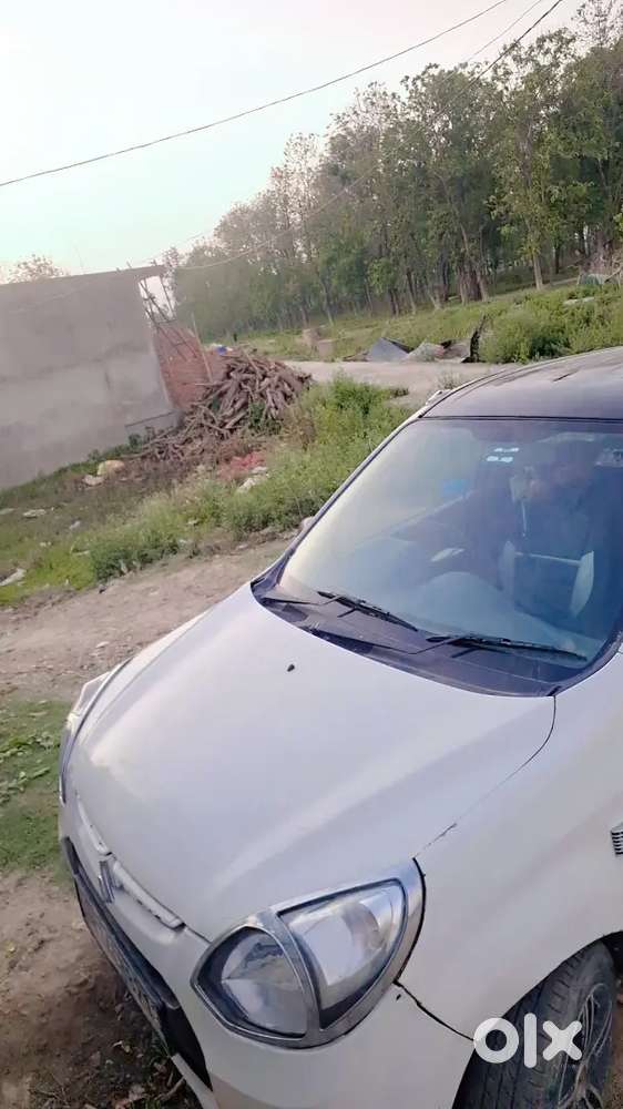 Maruti Suzuki Alto 800 2014