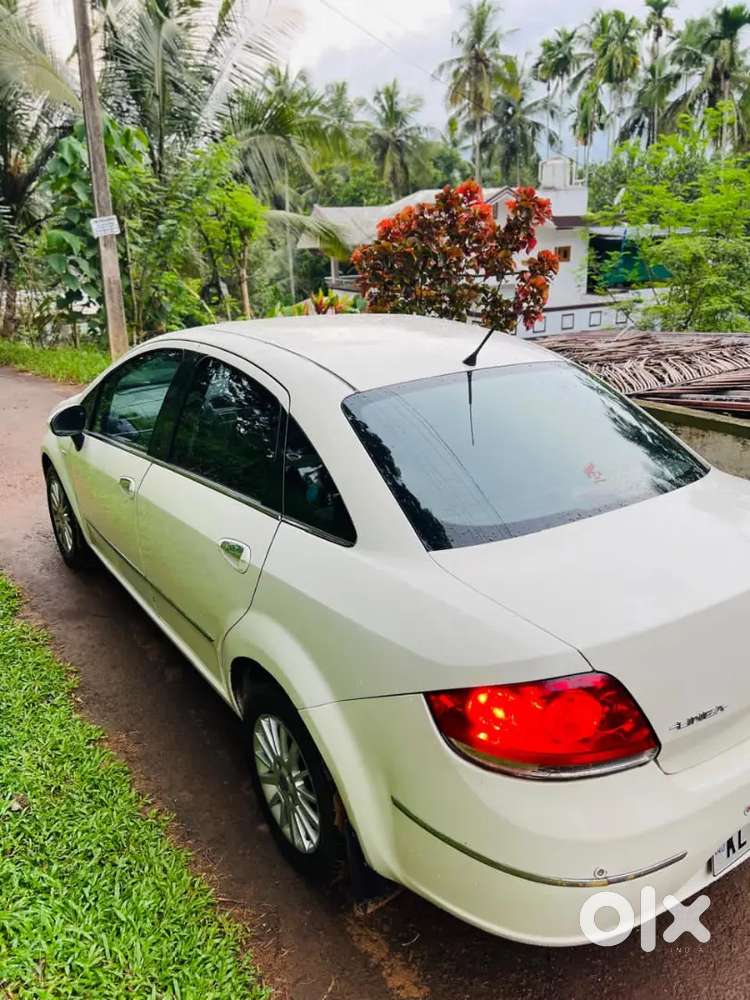 Neat And Clean Low Kilometers, Paper Up To 2031