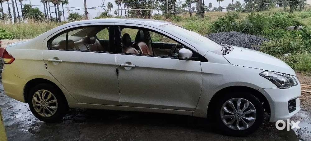 Buy New Car