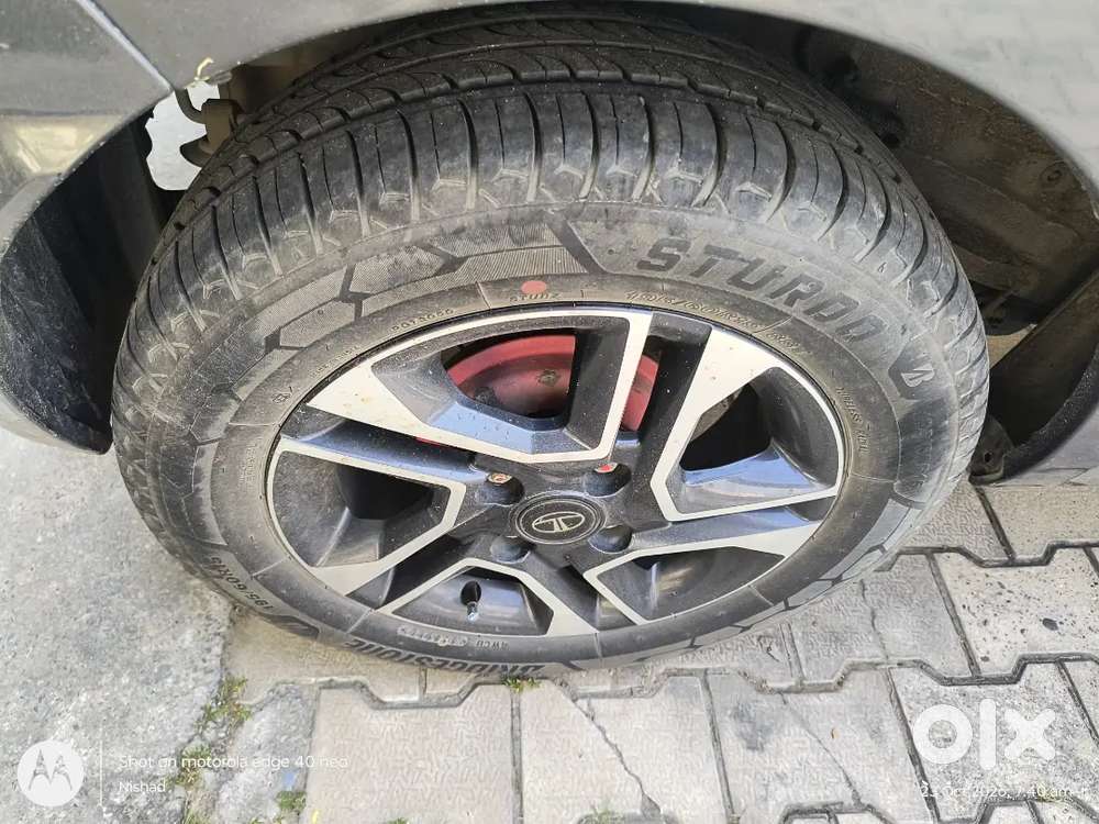 Well Mentaind