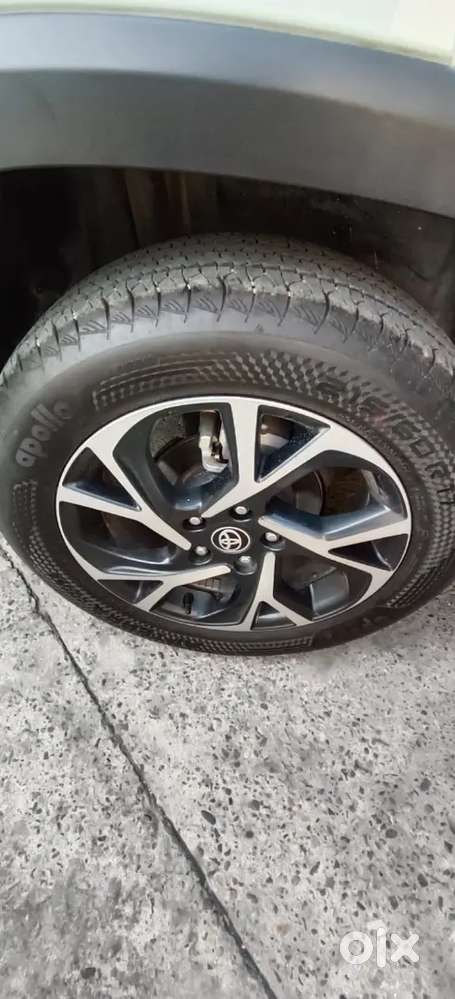 Toyota Urban Cruiser 2024