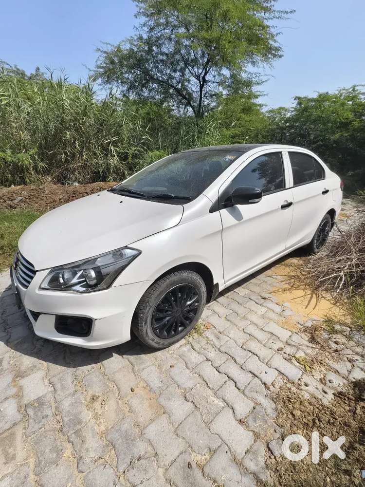 Maruti Suzuki Ciaz 2017 Car