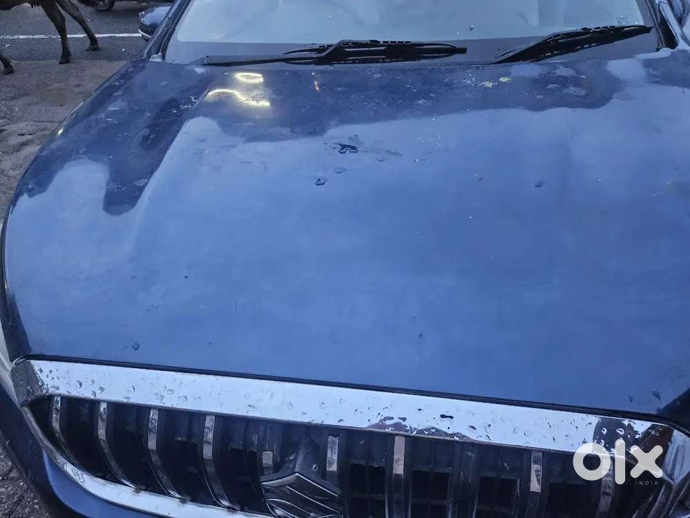 Maruti Suzuki S-cross 2019 Diesel