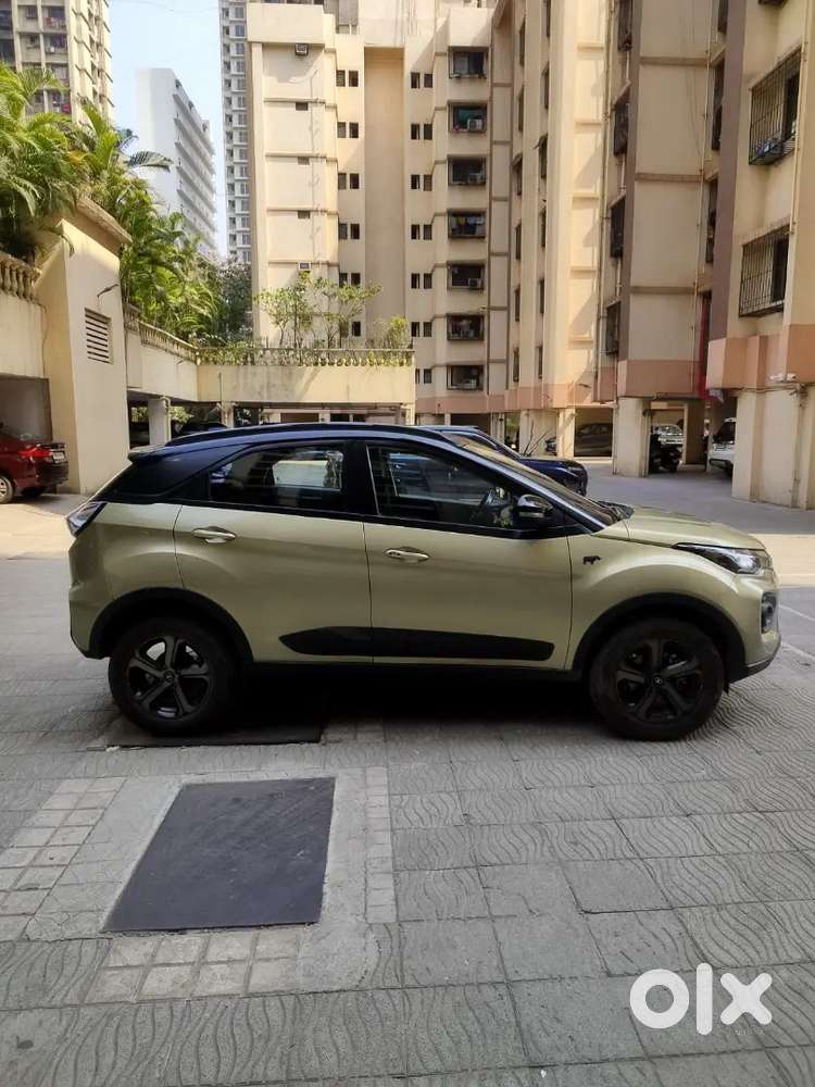 Tata Nexon Kaziranga Special Edition, Diesel Amt