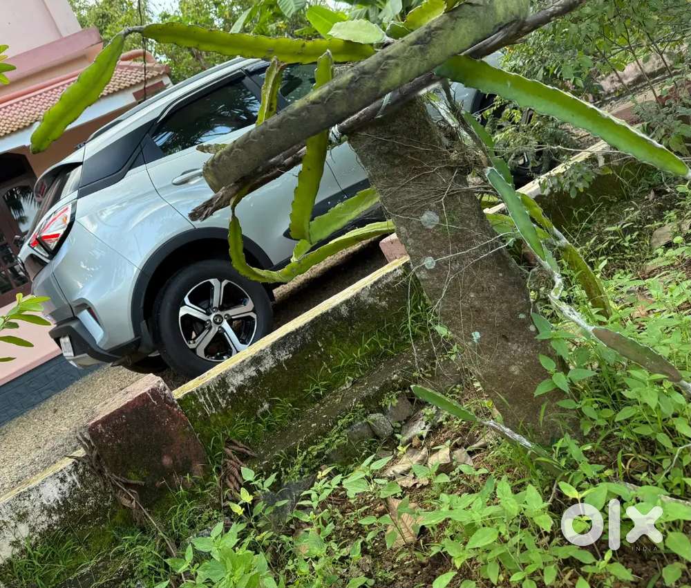 Tata Nexon 2021 Petrol 16623 Km Driven