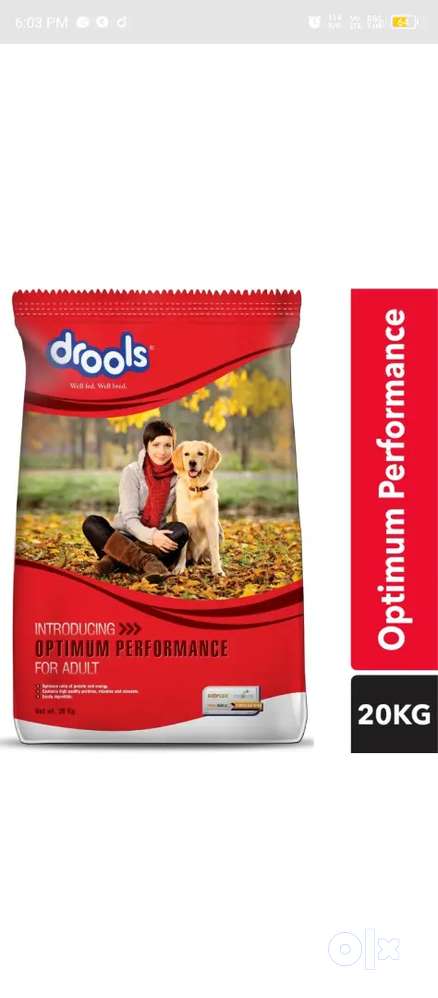 DOG DRY FOODS