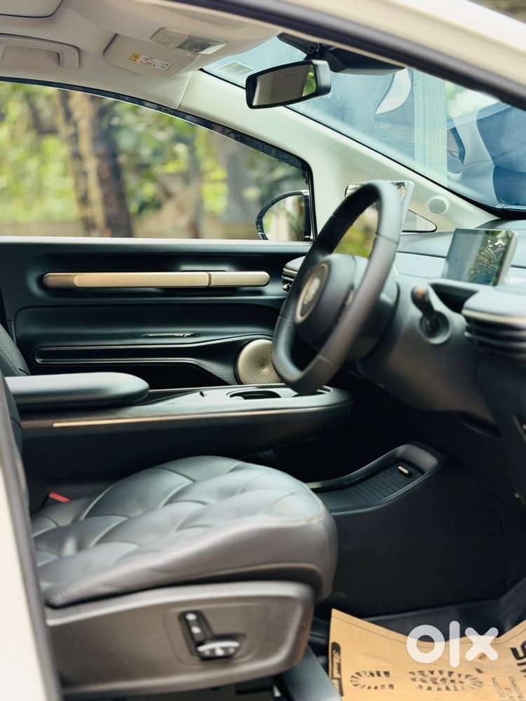 Mg Windsor Ev 2025