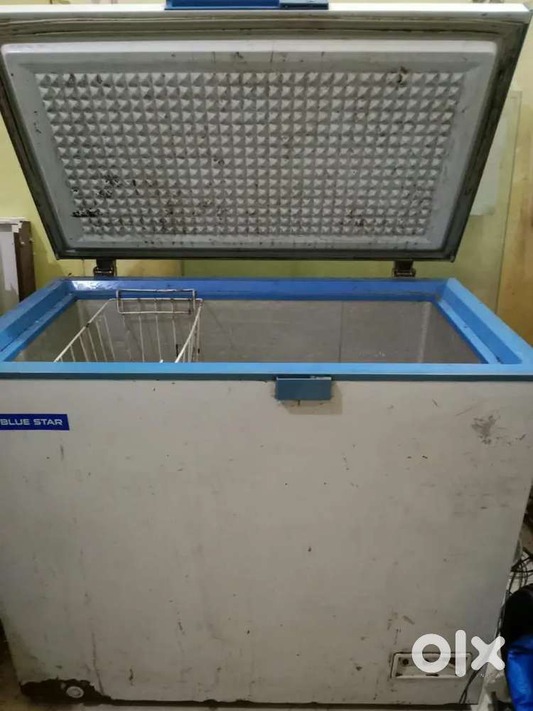 2 Deep fridges (Bluestar) for sale