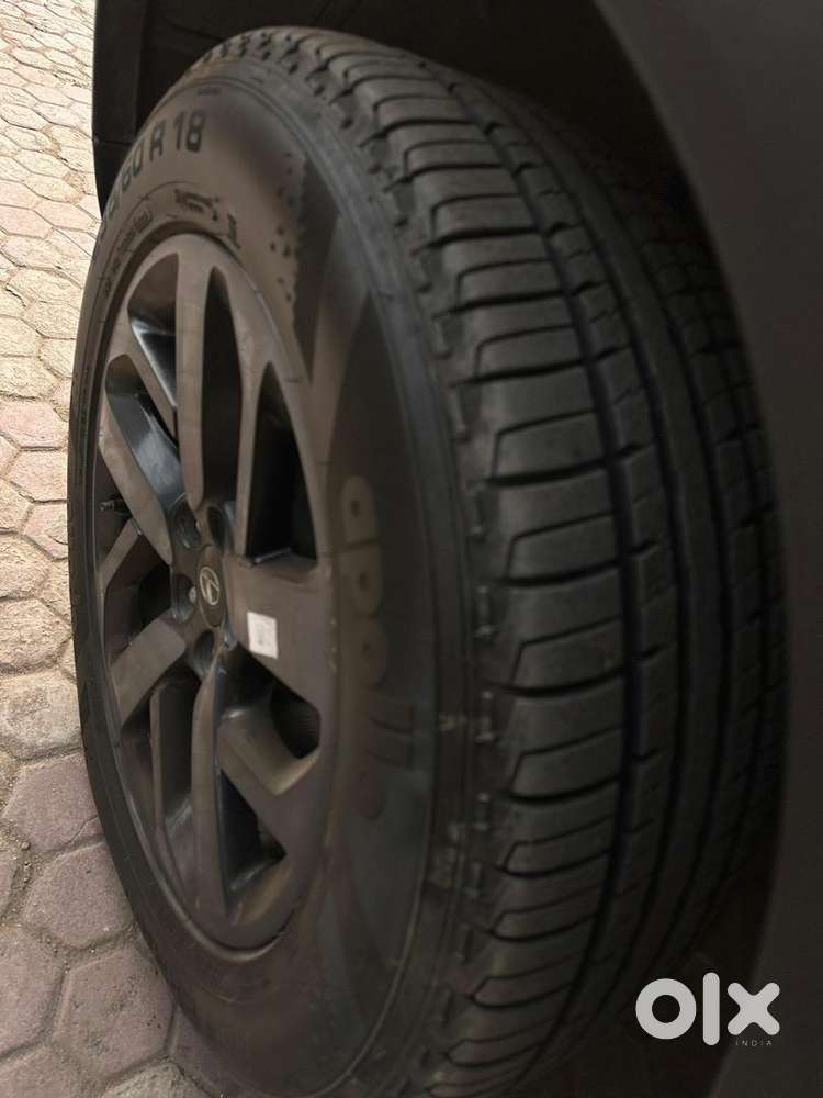 Tata Safari Kaziranga 2022