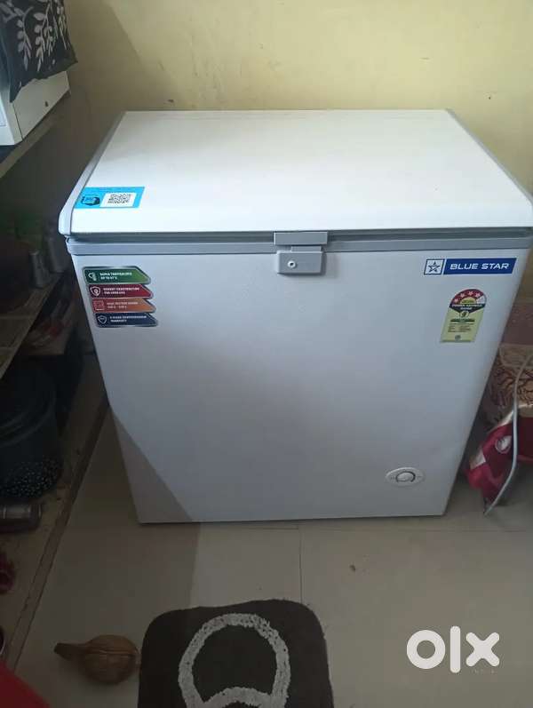 Blue star fridge