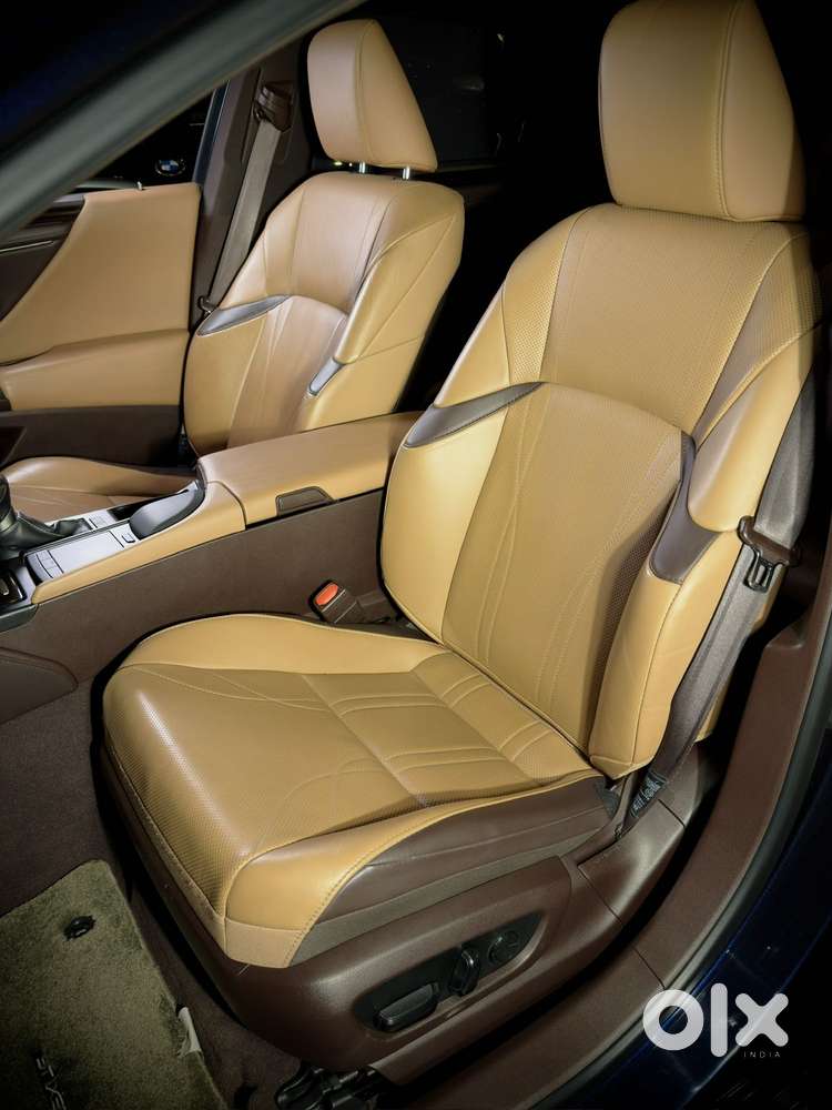 Lexus Es 300h Luxury, 2020, Petrol