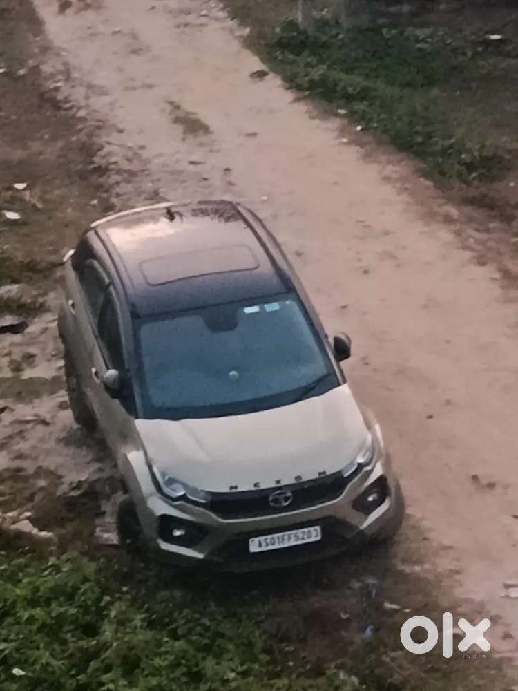 Tata Nexon Kaziranga Edition Xz Plus 2023 Model Only 30000 Km Run