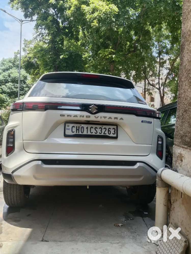 Maruti Suzuki Vitara 2023 Hybrid