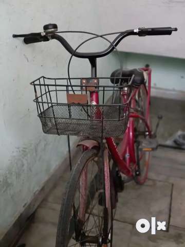 Lady bird cycle in olx new arrivals