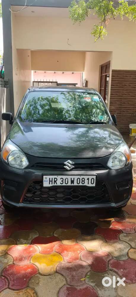 Maruti Suzuki Alto 800 2021 Petrol 24000 Km Driven