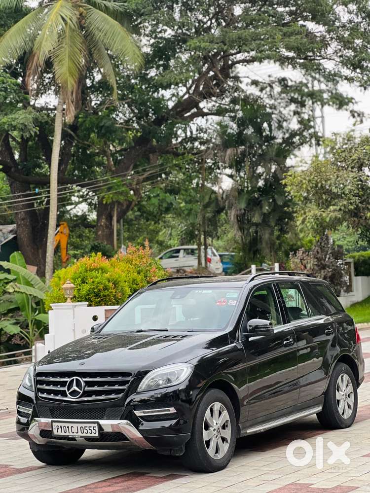Excellent Condition Ml 350 : Family Car