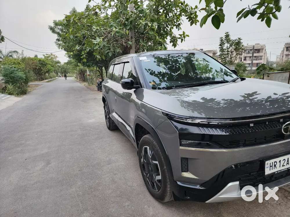 Tata Sierra Petrol Automatic 2026