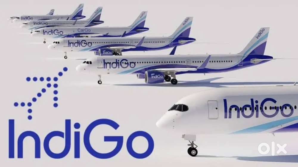 Both Candidates Hiring For Airport Ground Staff Job In Indigo Airlines