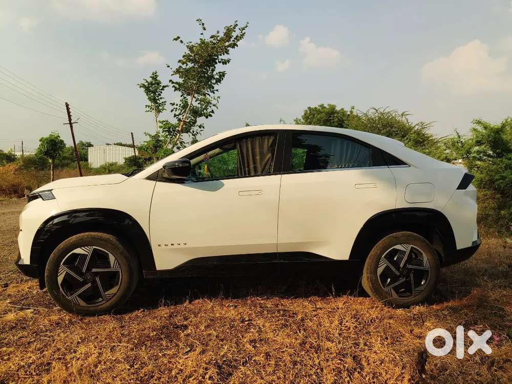 Tata Curvv Diesel Manual 2024