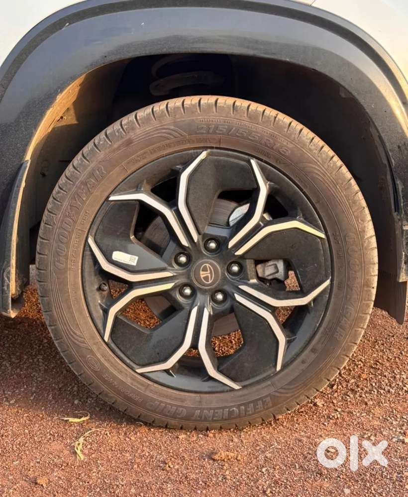 Tata Curvv S 1.2 Revotron Petrol 6mt, 2025, Petrol
