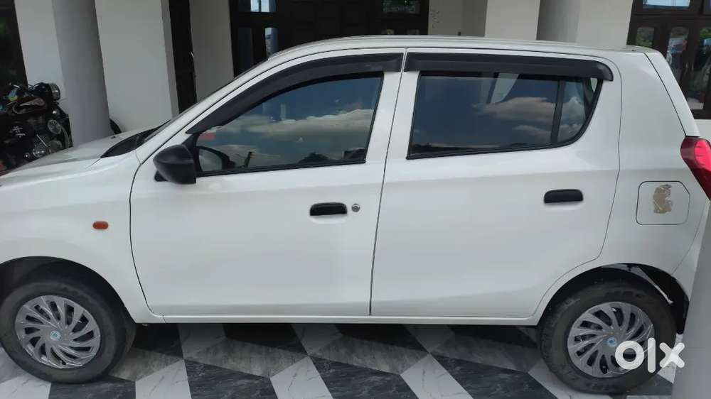 Alto 800 2019
