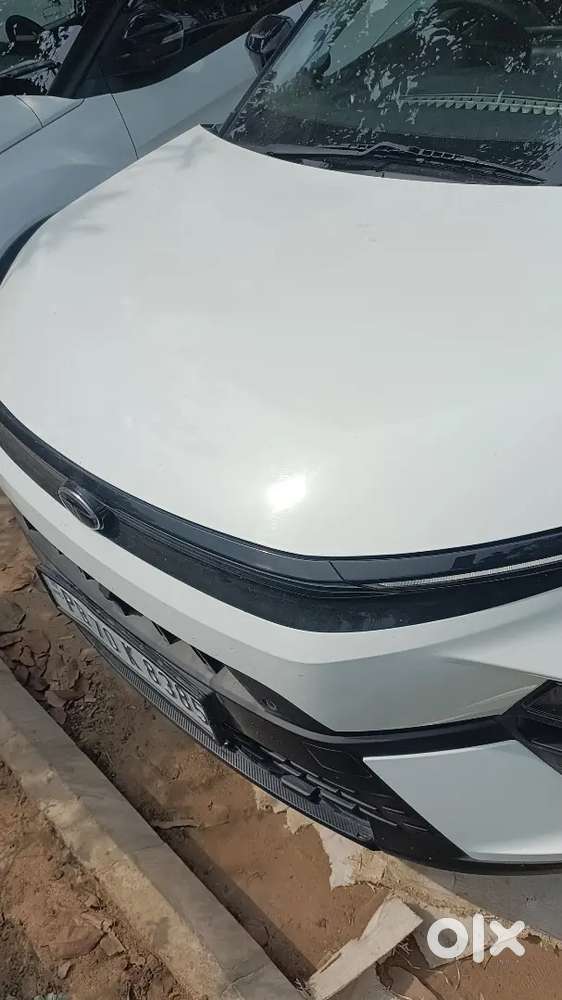 Tata Nexon 2024 Petrol Well Maintained