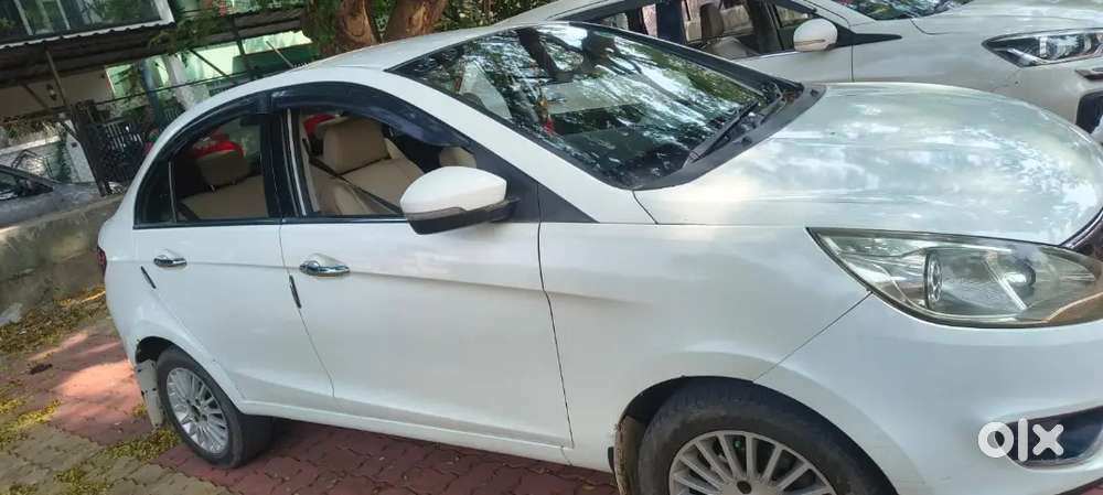 Full Condition 24 Caret