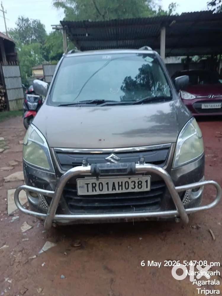Maruti Suzuki Wagon R Flex Fuel 2013