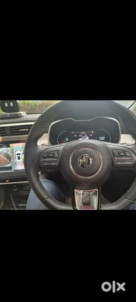 Mg Aster Sharp