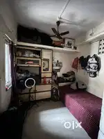 Need female roommate only