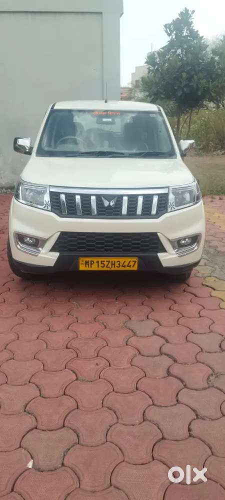 New Car Parches