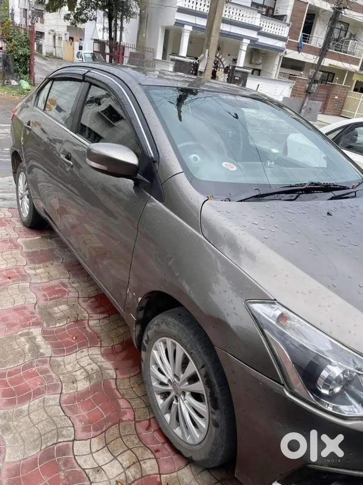Maruti Suzuki Ciaz 2019 Cng & Hybrids Well Maintained