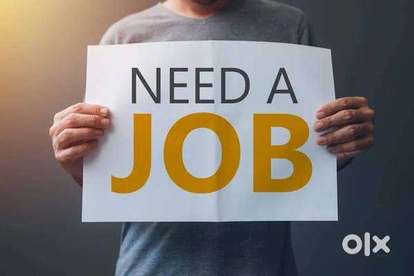 Urgent Hiring Banking Jobs  CASA Sales